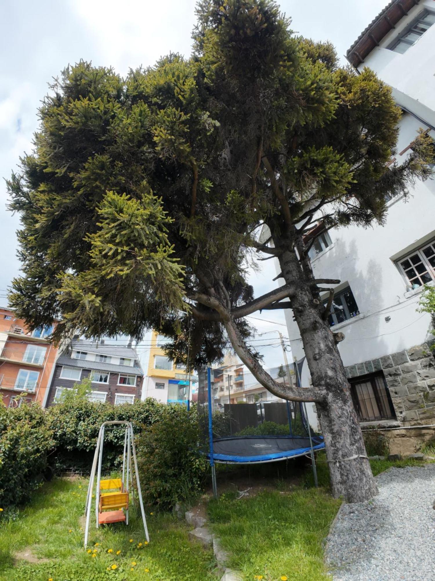 Temiscira Hostel San Carlos de Bariloche Dış mekan fotoğraf